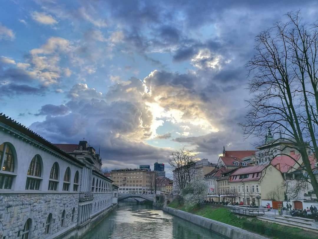 Apartment Streliska Любляна Екстериор снимка